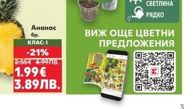 Орхидея Фаленопсис
