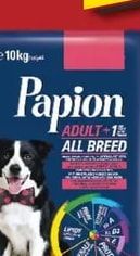 Papion Papion ADULT+1 ALL BREED