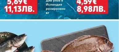 Лаврак изчистен пресен
