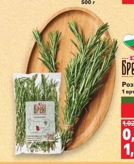 Гъби Портобело
