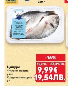 Ципура чистена, прясна улов