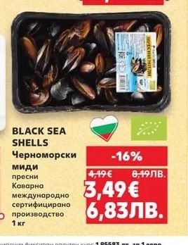 BLACK SEA SHELLS Черноморски миди пресни