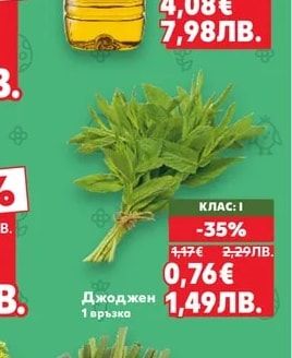 Джоджен