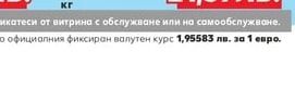 Сом филе (Клариас)