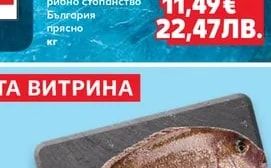 Ципура