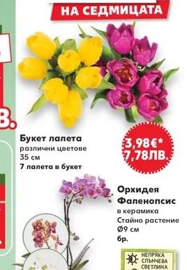 Букет лалета