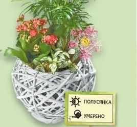 Кошница с цветя