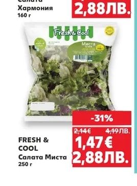 FRESH & COOL Салата Хармония