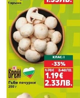 Гъби печурки