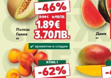 Пъпеш Галия