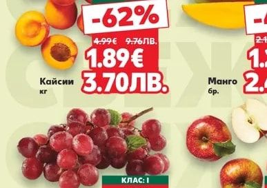 Кайсии
