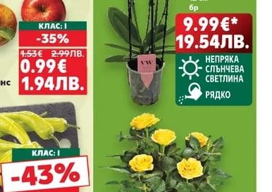 Ябълки червени Йонапринс
