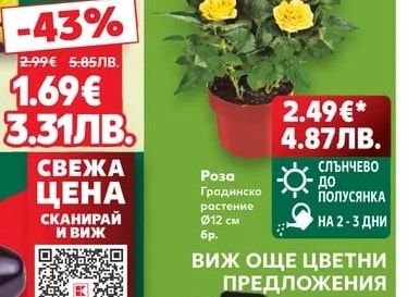 Чушки Сиврия