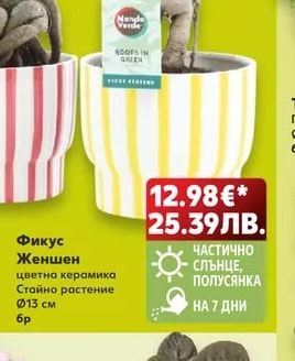 Тагетис