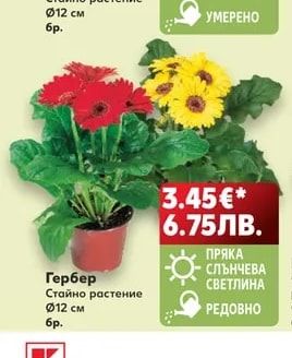 Гербер