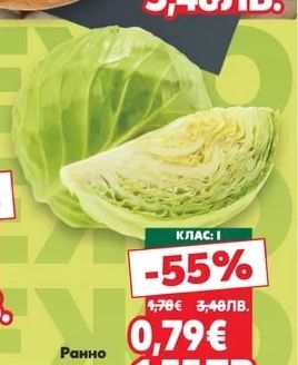 Гъби печурки