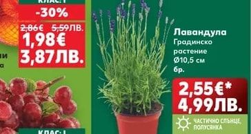 Букет микс