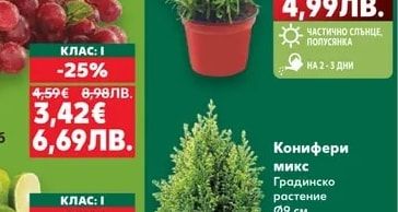 Портокали