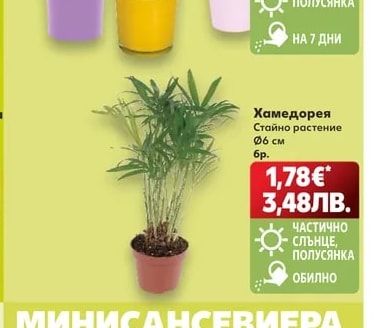 Кала