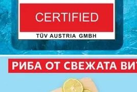 BLACK SEA SHELLS Черноморски миди