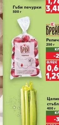 Гъби печурки