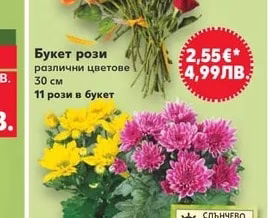 Хризантема