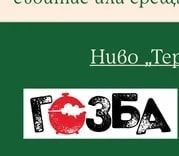 ГЪЗБА