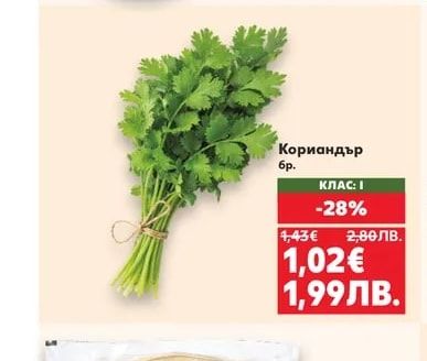 Кориандър