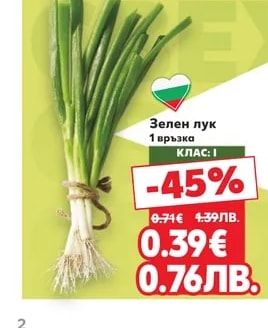 Зелен лук