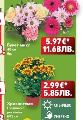 Букет микс
