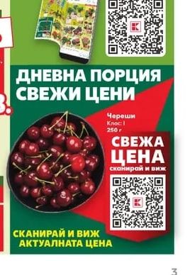 Хризантема Трио Градинско растение