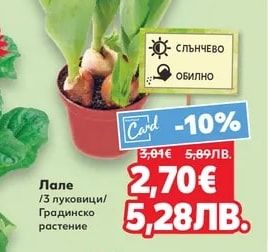 Лале