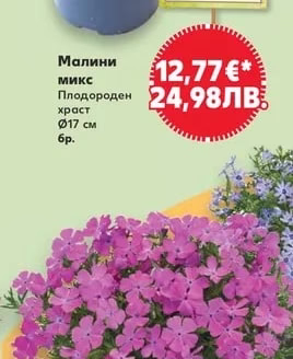 Малини микс
