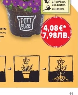 Pott Burri Аубрита