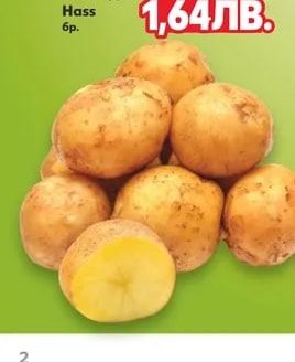 Авокадо Hass