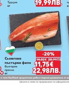 Сьомга котлет