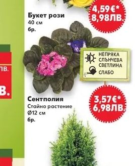 Букет рози