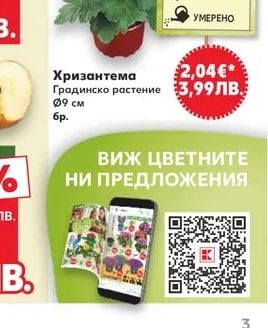Конифери микс