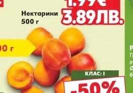 Кайсии