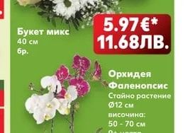 Букет микс