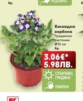Гербер