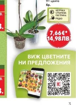 Букет рози