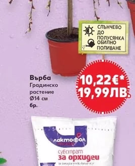 Върба
