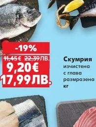 Ципура изчистена Средиземноморие прясна