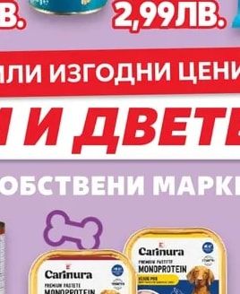 Classic Храна за кучета