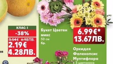 Пъпеш Галия