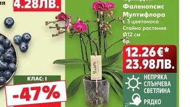 Букет Цветен Микс