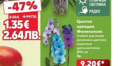 Боровинки
