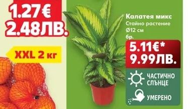 Манго