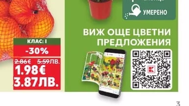 Цветна орхидея Фаленопсис